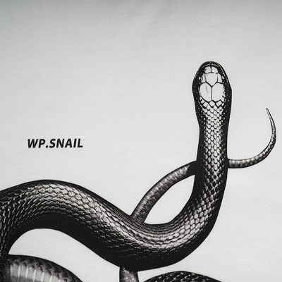 T-shirt snake loose stampato in 3D per la moda di strada in varie dimensioni
