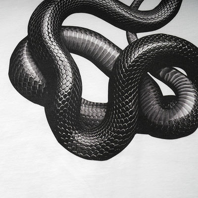 T-shirt snake loose stampato in 3D per la moda di strada in varie dimensioni