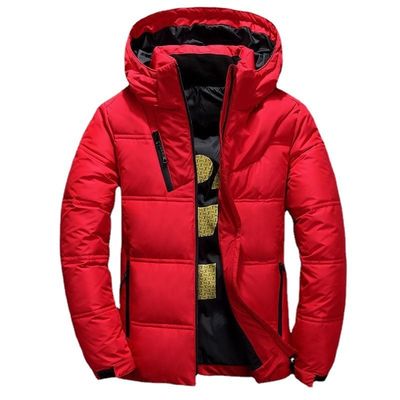 Giubbotto caldo di montagna sostenibile con cappuccio, cappotto invernale, palla da neve, impermeabile al vento, impermeabile